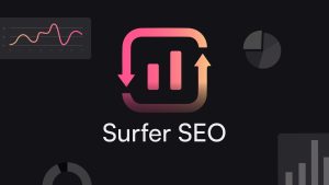 Mastering On-Page SEO In 2024 6 Surfer SEO | TBM